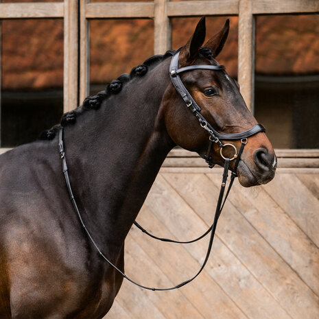 PresTeq hoofdstel FaySport