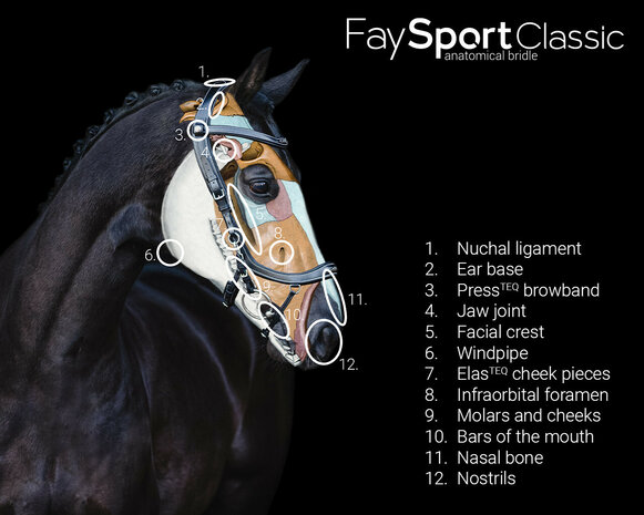 PresTeq hoofdstel FaySport Classic