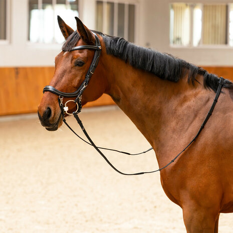 PresTeq hoofdstel FaySport Classic