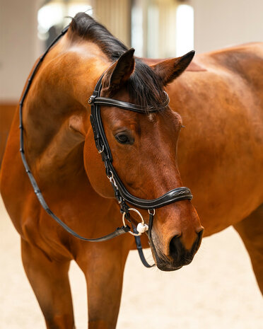 PresTeq hoofdstel FaySport Classic