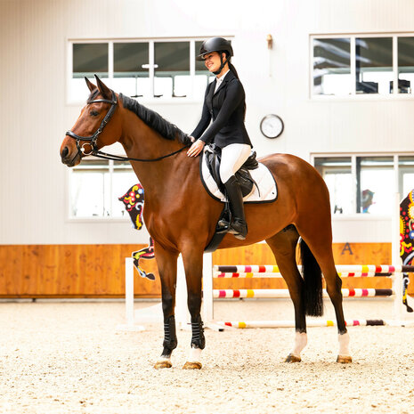 PresTeq hoofdstel FaySport Classic