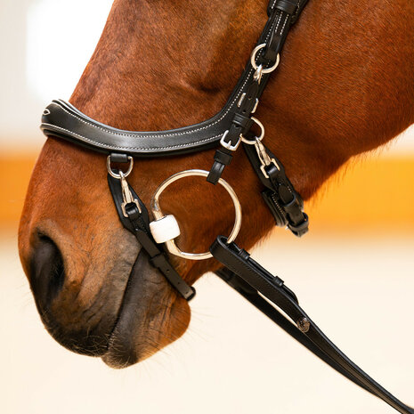 PresTeq hoofdstel FaySport Classic