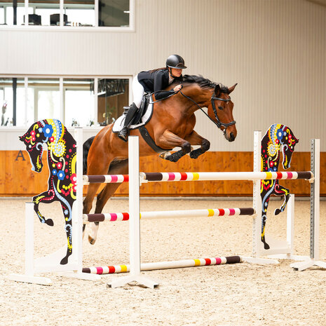 PresTeq hoofdstel FaySport Classic