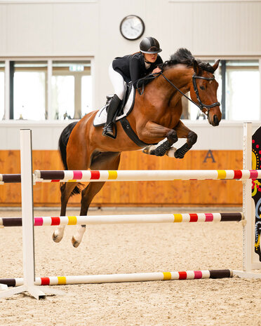 PresTeq hoofdstel FaySport Classic
