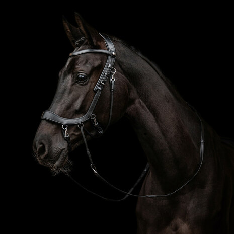 PresTeq bitloos hoofdstel FaySport