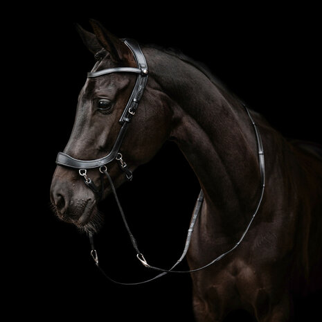 PresTeq bitloos hoofdstel FaySport