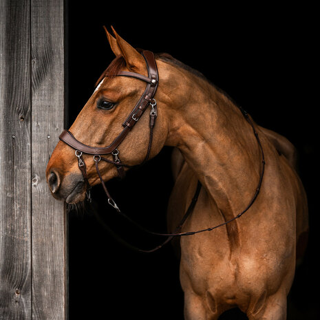 PresTeq bitloos hoofdstel FaySport