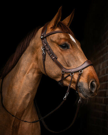 PresTeq bitloos hoofdstel FaySport