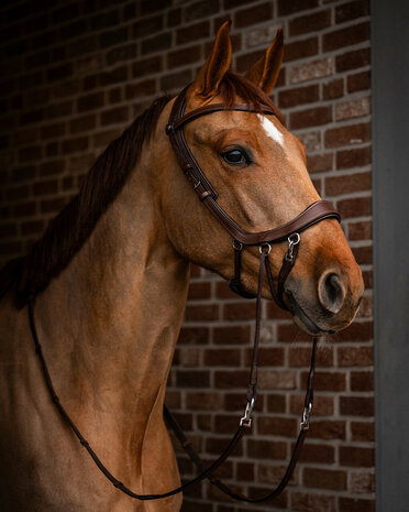 PresTeq bitloos hoofdstel FaySport