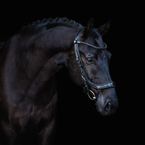 PresTeq hoofdstel FaySport Blackpearl