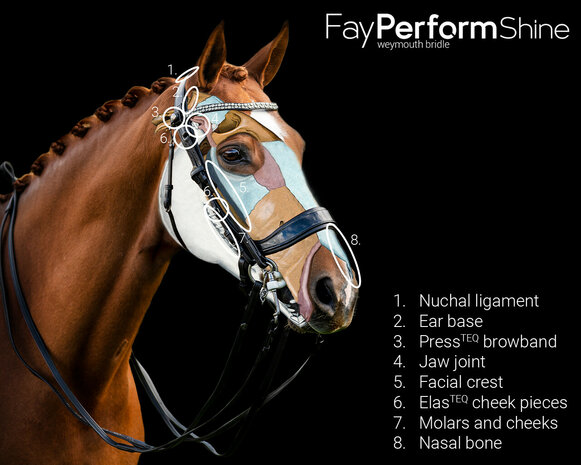 PresTeq hoofdstel stang & trens FayPerform Shine