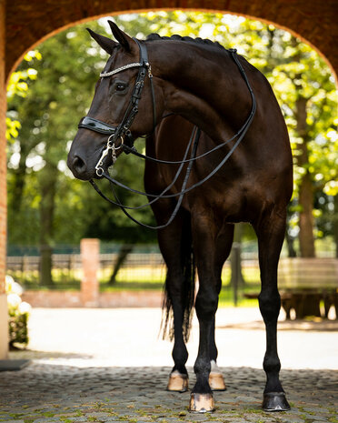 PresTeq hoofdstel stang & trens FayPerform Shine
