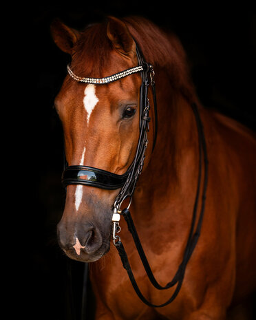 PresTeq hoofdstel stang & trens FayPerform Shine
