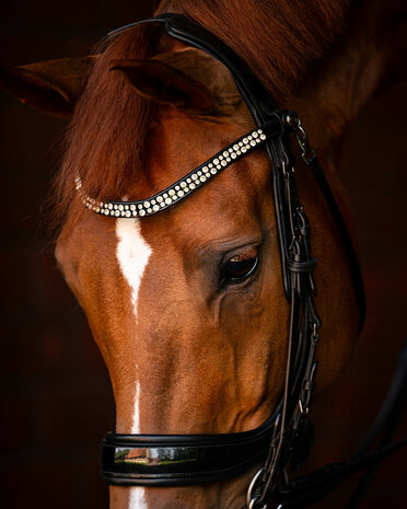 PresTeq hoofdstel stang & trens FayPerform Shine