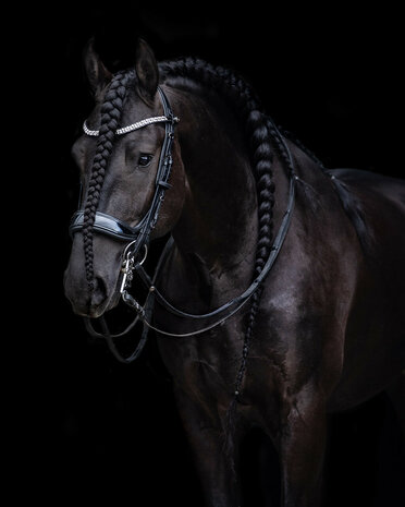PresTeq hoofdstel stang & trens FayPerform Shine