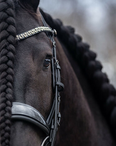 PresTeq hoofdstel stang & trens FayPerform Shine