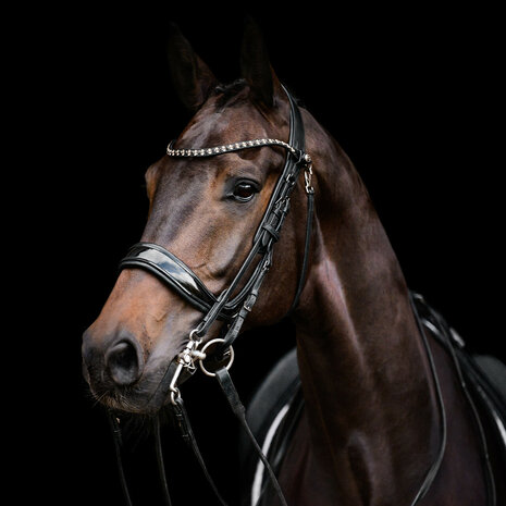 PresTeq hoofdstel stang & trens FayPerform Shine