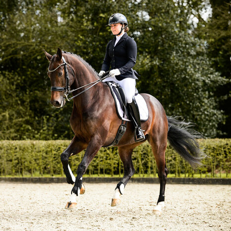 PresTeq hoofdstel stang & trens FayPerform Shine