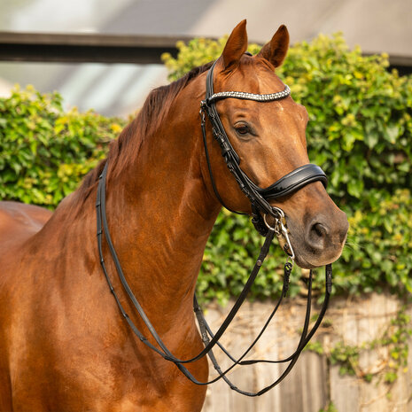 PresTeq hoofdstel stang & trens FayPerform Shine