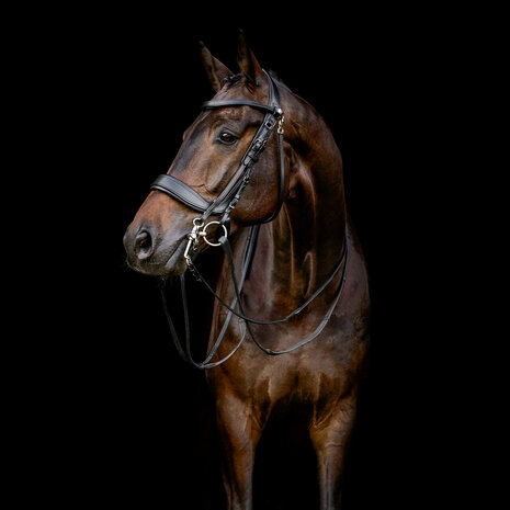 PresTeq hoofdstel stang & trens FayPerform