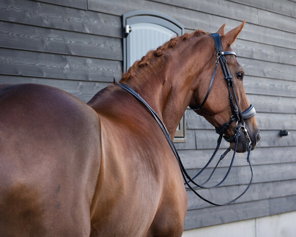PresTeq hoofdstel stang & trens FayPerform