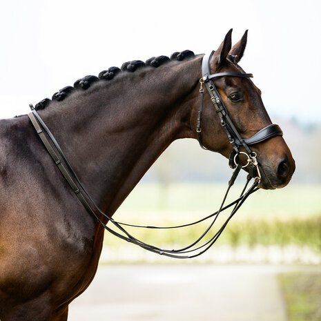 PresTeq hoofdstel stang & trens FayPerform