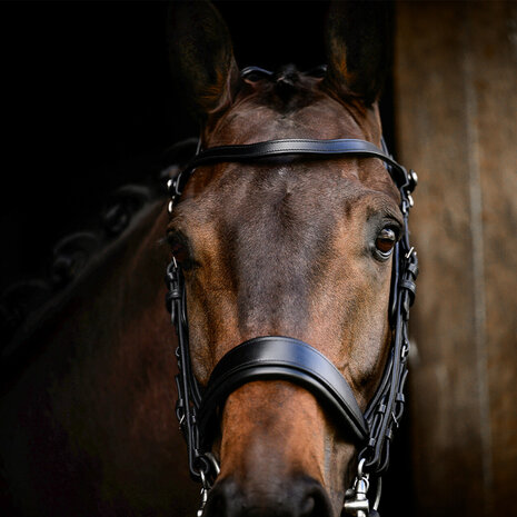 PresTeq hoofdstel stang & trens FayPerform