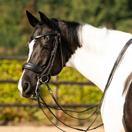 PresTeq hoofdstel stang & trens FayPerform