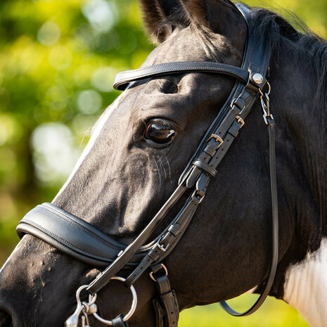 PresTeq hoofdstel stang & trens FayPerform
