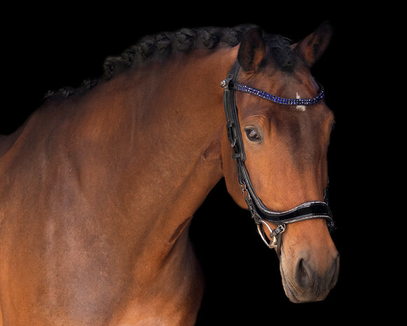 PresTeq frontriem StarGlow