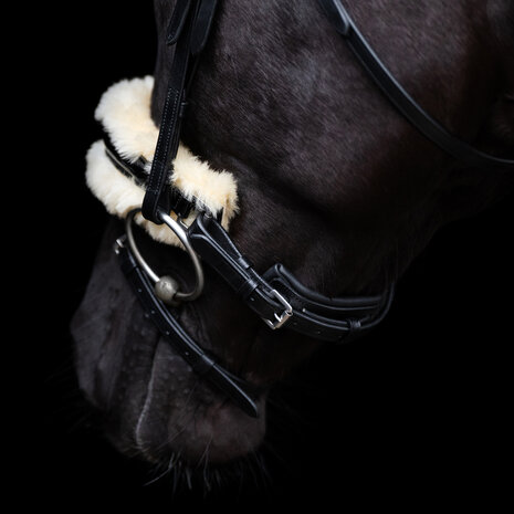HV Polo hoofdstel Kate