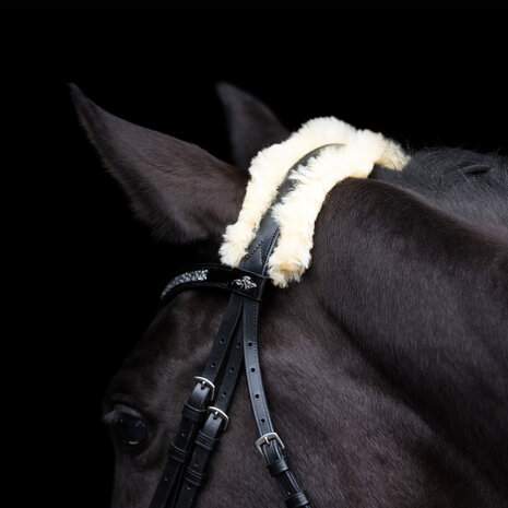 HV Polo hoofdstel Kate