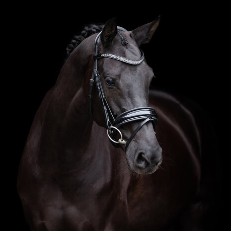 HV Polo hoofdstel Diana