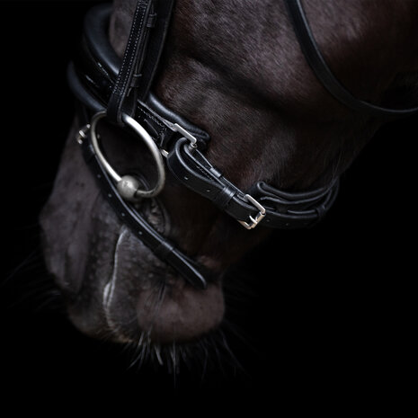 HV Polo hoofdstel Diana