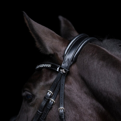 HV Polo hoofdstel Diana