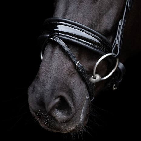 HV Polo hoofdstel Diana