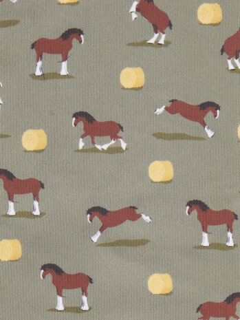 LeMieux Footsie Sokken Clydesdale/Willow