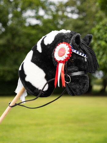 LeMieux Hobby Horse rozetten multipack