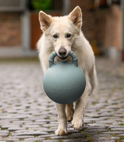 Waldhausen speelbal