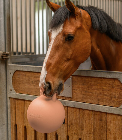 Waldhausen speelbal