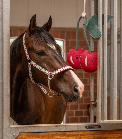 Waldhausen paardenspeelgoed Cherry Lady