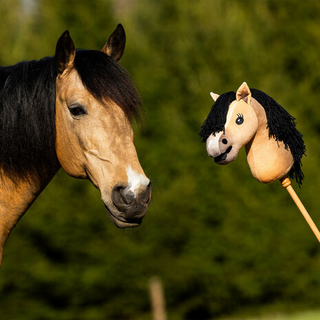 Nalanta Hobby Horse Antares