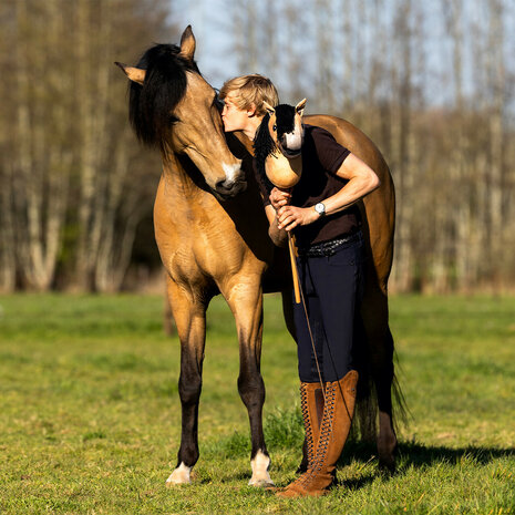 Nalanta Hobby Horse Antares