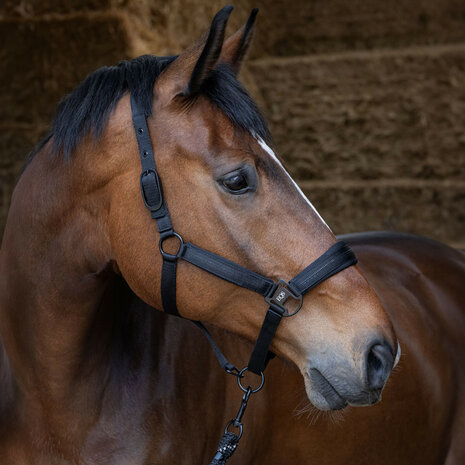 Harry's Horse halsterset Black Edition