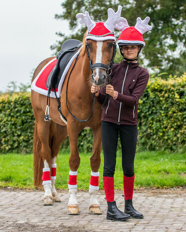 QHP rendiermuts paard Kerst
