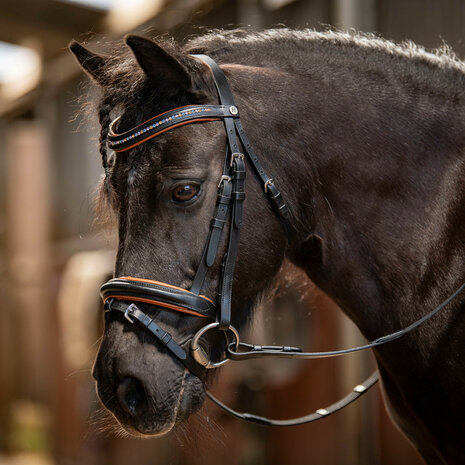 Harry's Horse hoofdstel STOUT! Maverick
