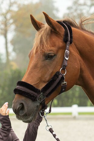 Harry&rsquo;s Horse Halsterset Soft Billie