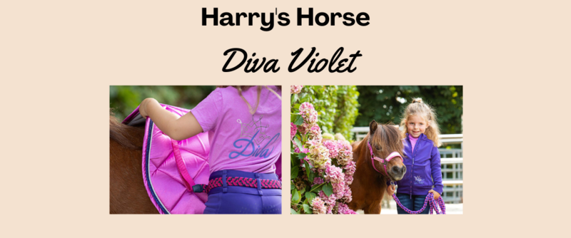 Nieuwe collectie - Diva Violet