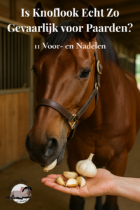 Knoflook voor Paarden: Gevaarlijk of Gezond? Ontdek de Feiten Knoflook voor Paarden: Gevaarlijk of Gezond? Ontdek de Feiten