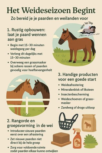 Het weideseizoen begint: Zo bereid je je paarden en weilanden voor Het weideseizoen begint: Zo bereid je je paarden en weilanden voor